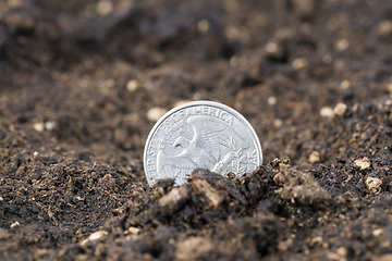 Image showing American old coin