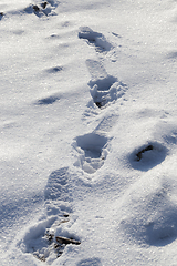 Image showing snow with traces