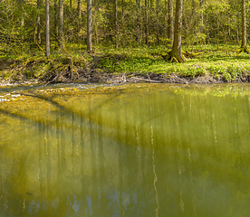 Image showing waterside scenery at spring time