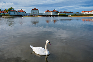 Image showing Swan in pond near Nymphenburg Palace. Munich, Bavaria, Germany