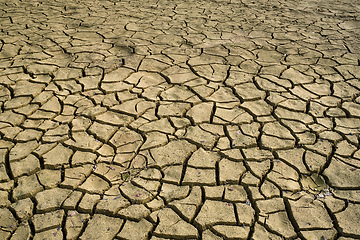 Image showing Cracked dry earth with cracks texture