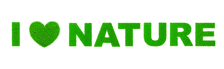 Image showing I love nature written with grass