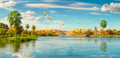 Image showing Panorama Nile in Aswan