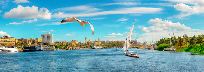 Image showing Panorama of Aswan