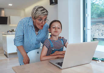 Image showing Mother with her daughter talking on laptop with family and friends while sitting in modern living room of big house