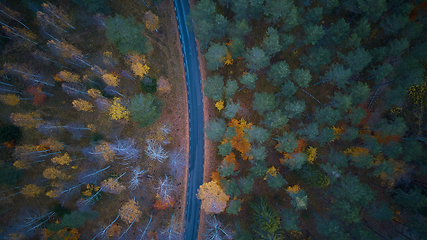 Image showing Road in the colored autumn forest aerial view.