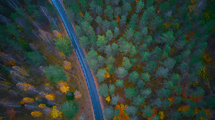 Image showing Road in the colored autumn forest aerial view.