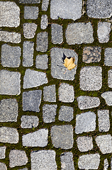 Image showing black cobblestones