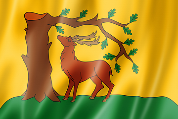 Image showing Berkshire County flag, UK