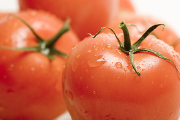 Image showing Tomatos