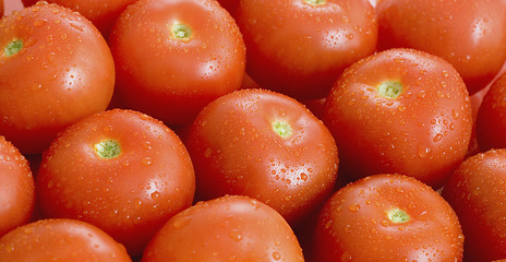 Image showing Tomatos