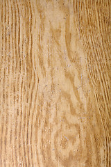 Image showing Wood