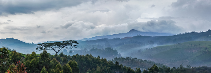 Image showing Lonely tree on sunrise in hills