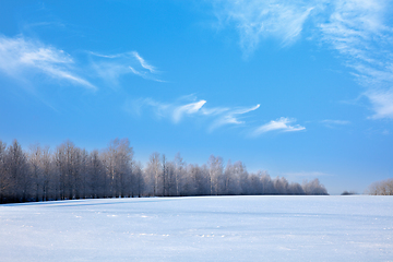 Image showing Winter landscape