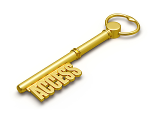 Image showing Access key