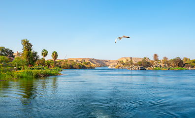 Image showing Panorama river Nile  at sunset