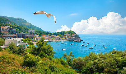 Image showing Panoramic landscape of Budva