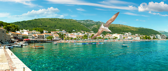 Image showing Petrovac and its beach