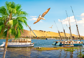 Image showing Port in Aswan