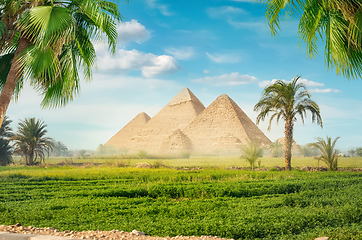 Image showing Pyramids in a green field