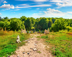 Image showing Road in field at sunny day