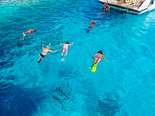 Image showing Snorkeling in Red Sea , Egypt 