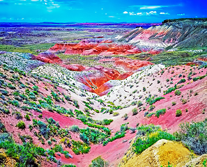 Image showing Painted Desert