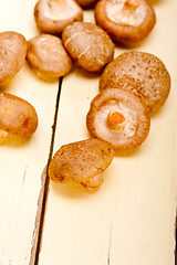 Image showing shiitake mushrooms