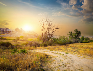 Image showing Road in the valley of love