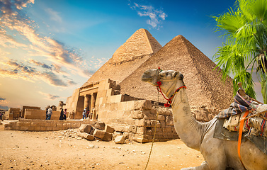 Image showing Ruined pyramid of Cheops