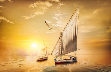 Image showing Sailboats at sunset