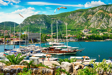 Image showing Seagulls over boats