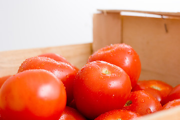 Image showing Tomatos