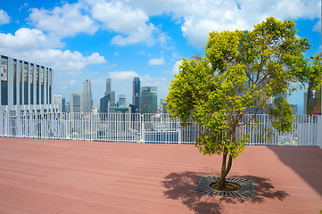 Image showing Tree roof top skyscraper Singapore
