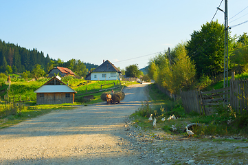 Image showing Man riding in horse cart