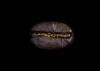 Image showing one coffee beans