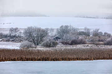 Image showing Winter landscape covered with snow