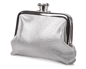 Image showing Silver leather purse isolated