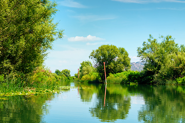 Image showing Skadar lake and trees