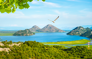 Image showing Skadar lake in summer