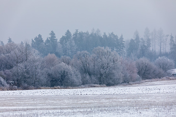 Image showing Winter landscape covered with snow