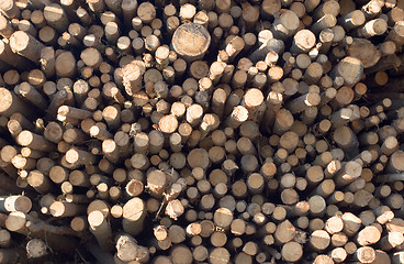 Image showing Forest industry log pile