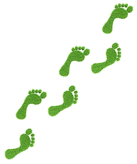 Image showing Grass footprints