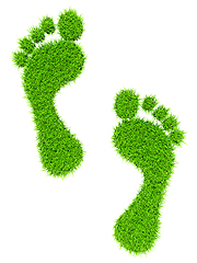 Image showing Grass footprints
