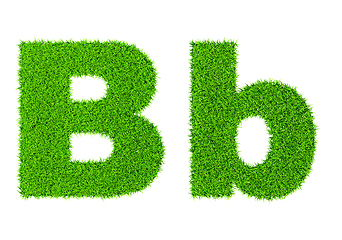 Image showing Grass letter B