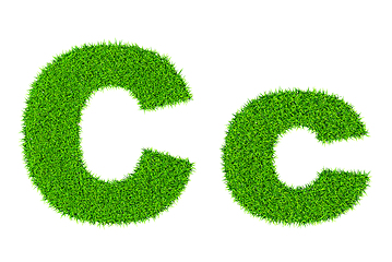 Image showing Grass letter C