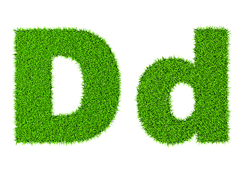 Image showing Grass letter D