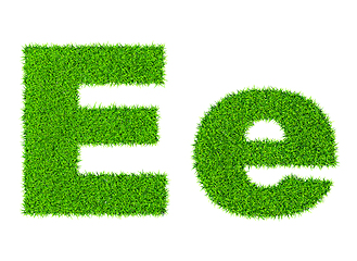 Image showing Grass letter E