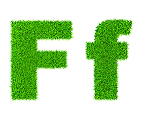 Image showing Grass letter F