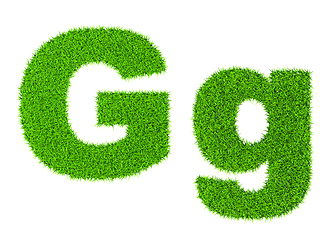 Image showing Grass letter G